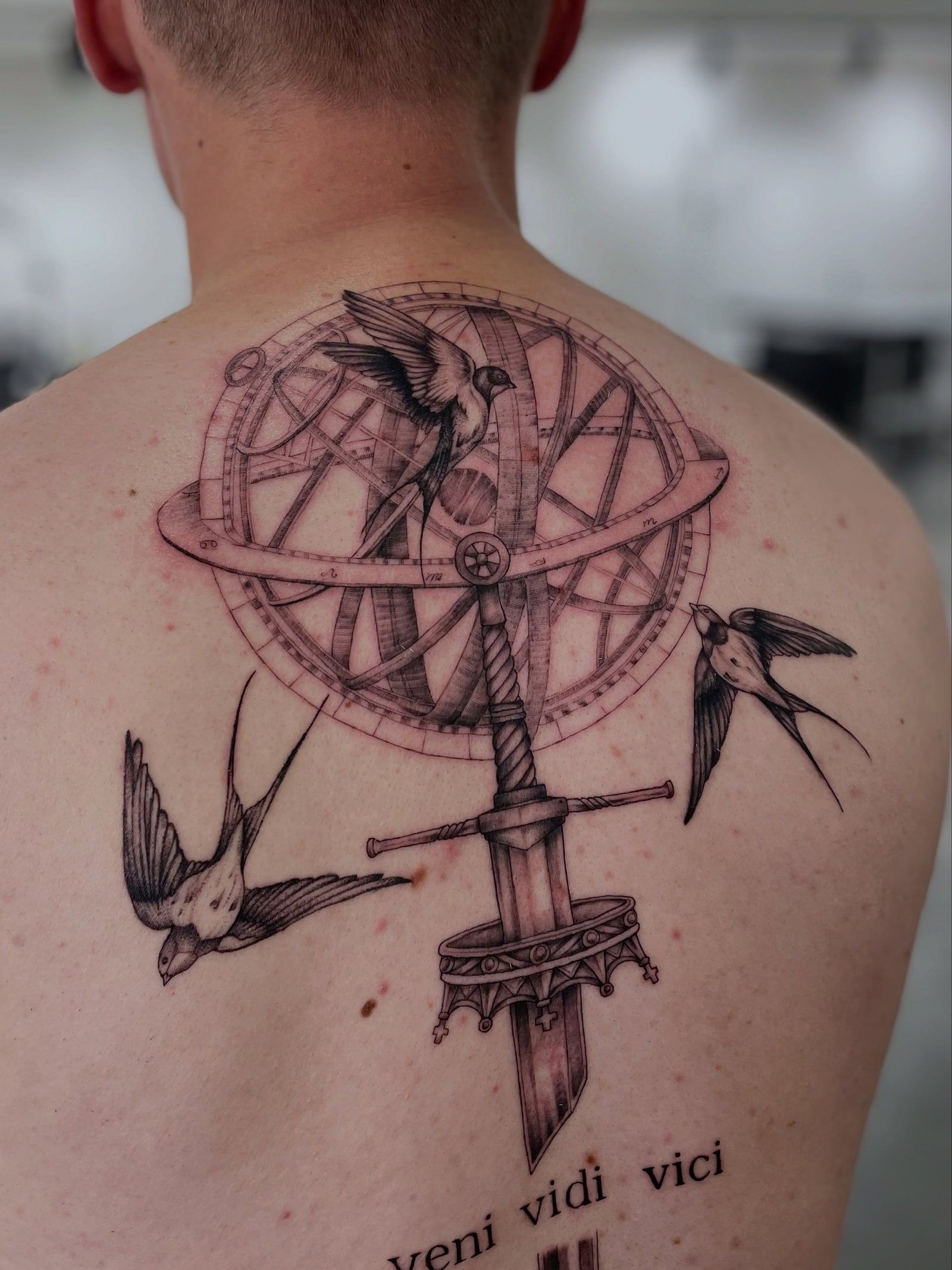 Upper-back tattoo of an armillary sphere on a sword with two swallows and the words “veni vidi vici”