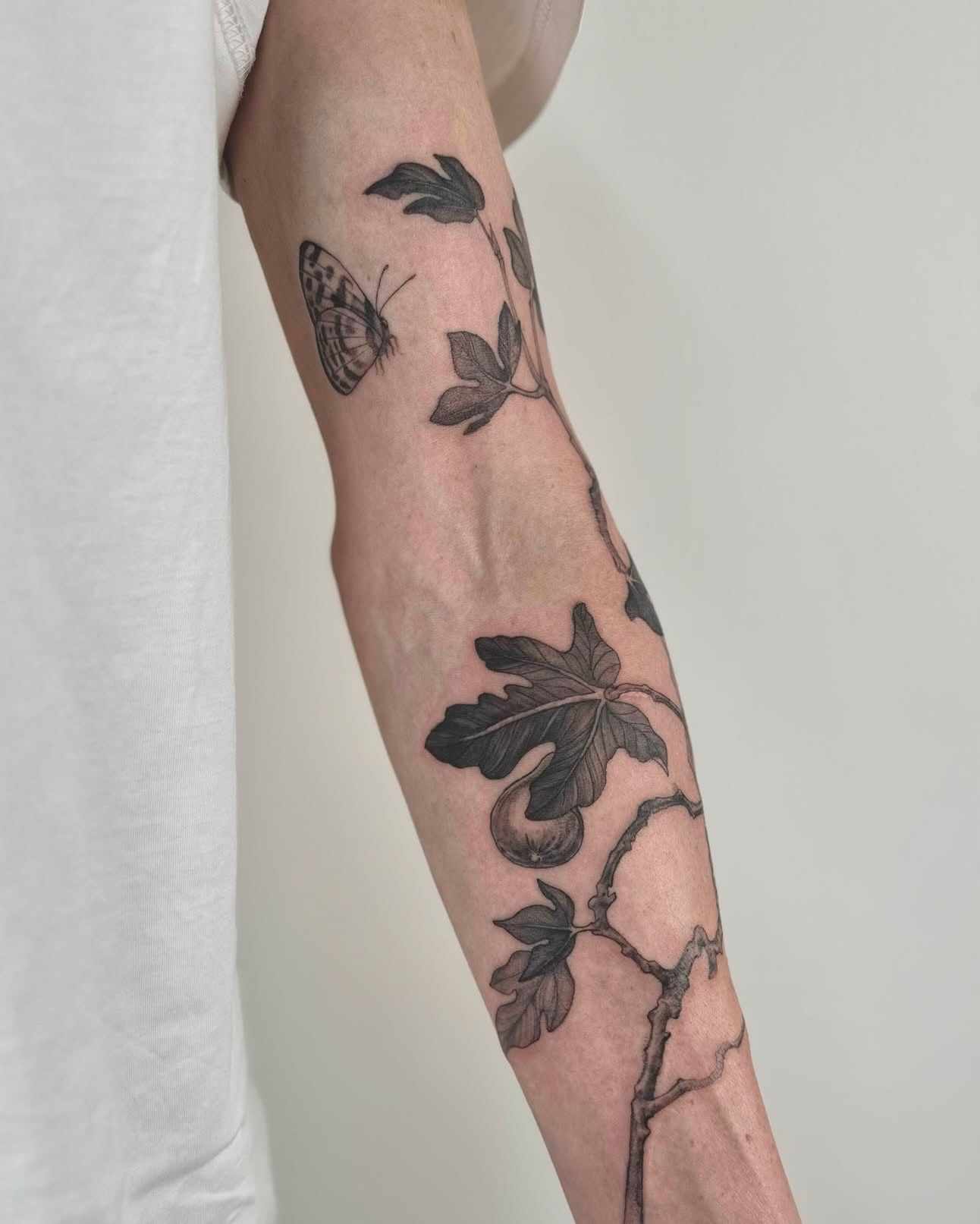 Fig-vine tattoo seen from the outside of the forearm, with a butterfly near the elbow